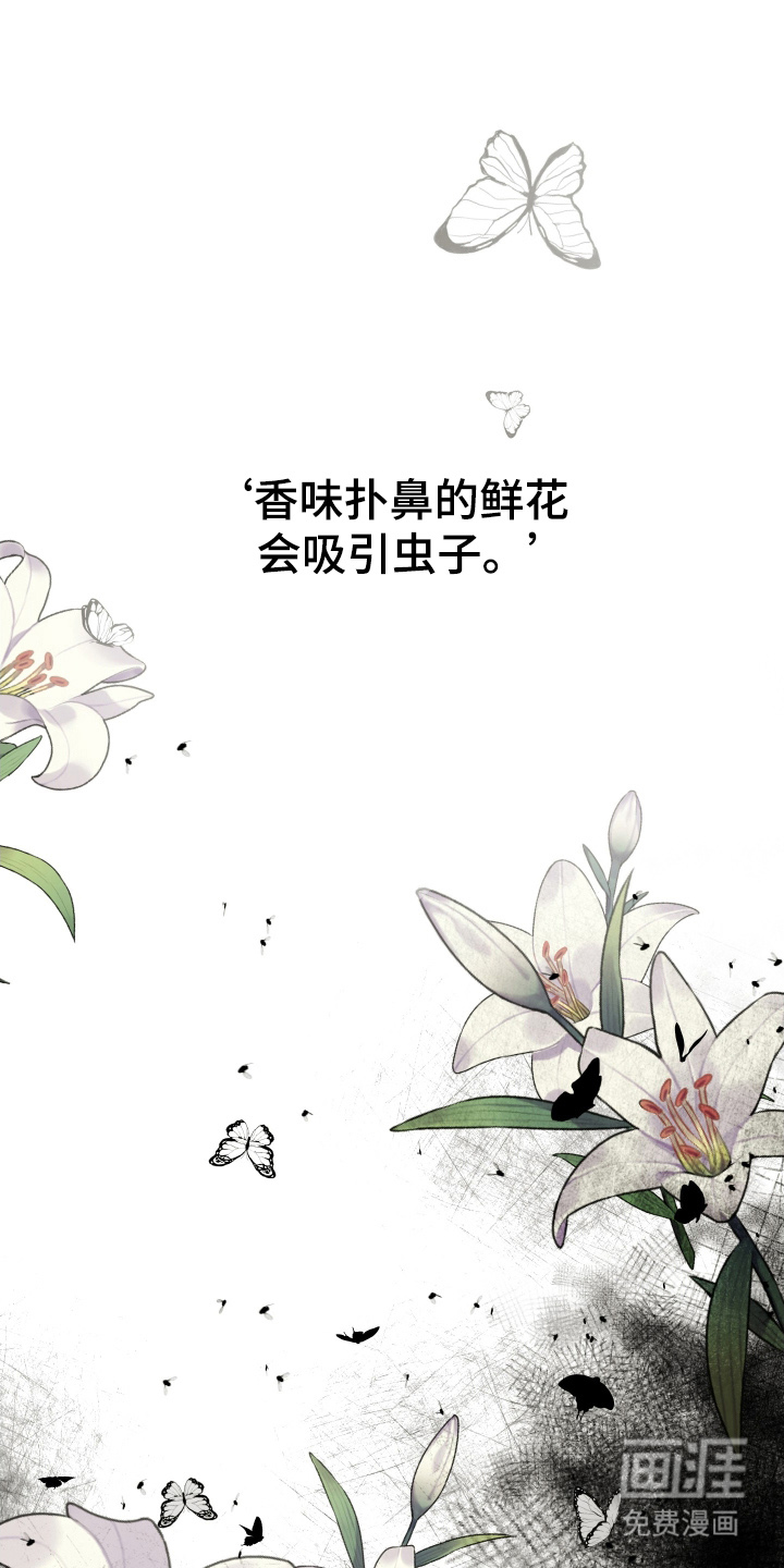 总裁的抵债情人 第4话 第11页