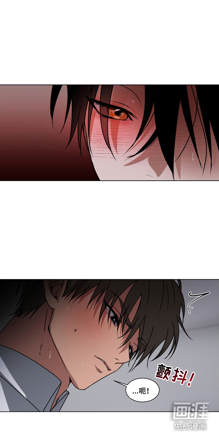 罪爱庇护所第12话图