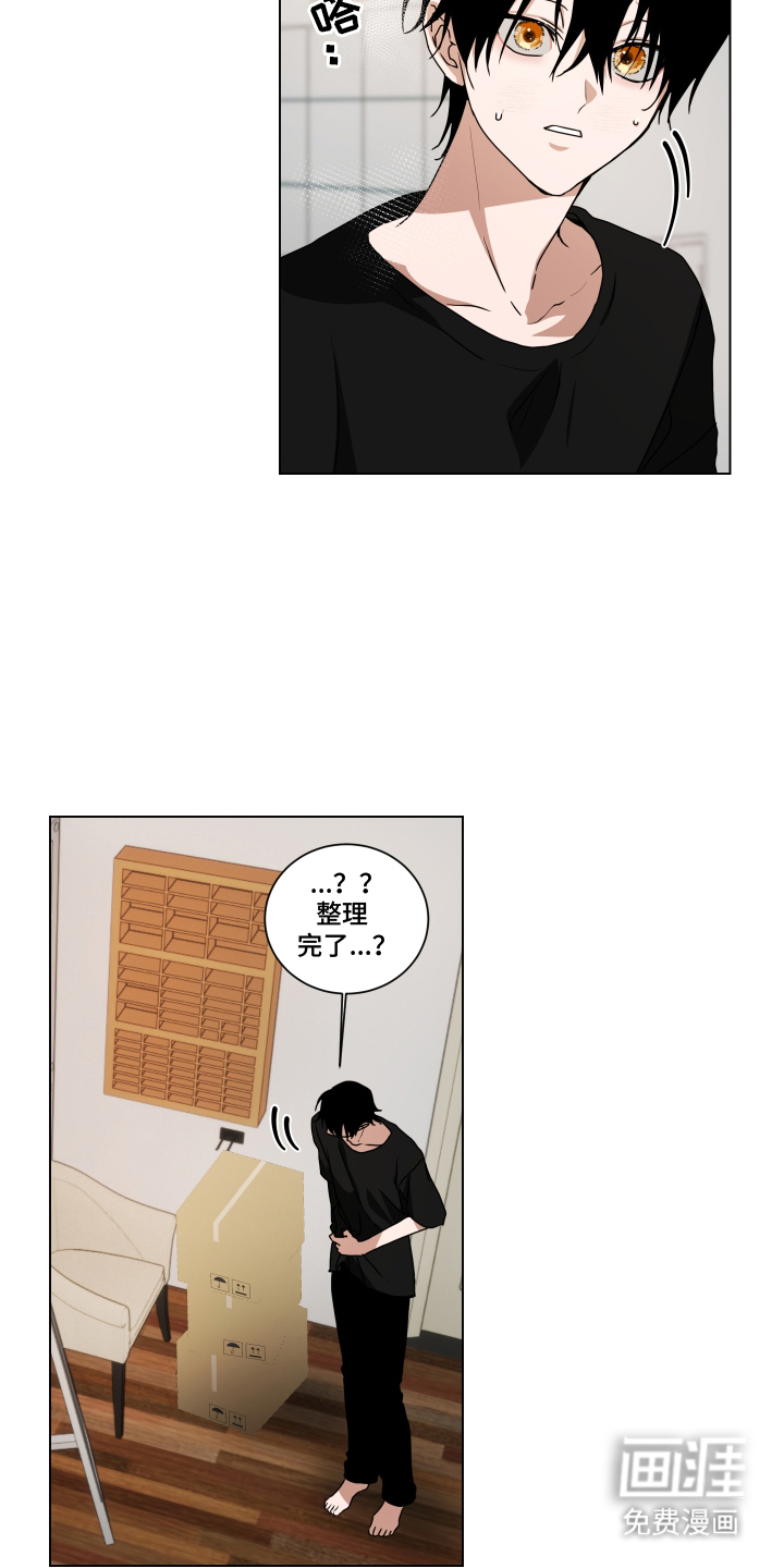 罪爱庇护所第8话图