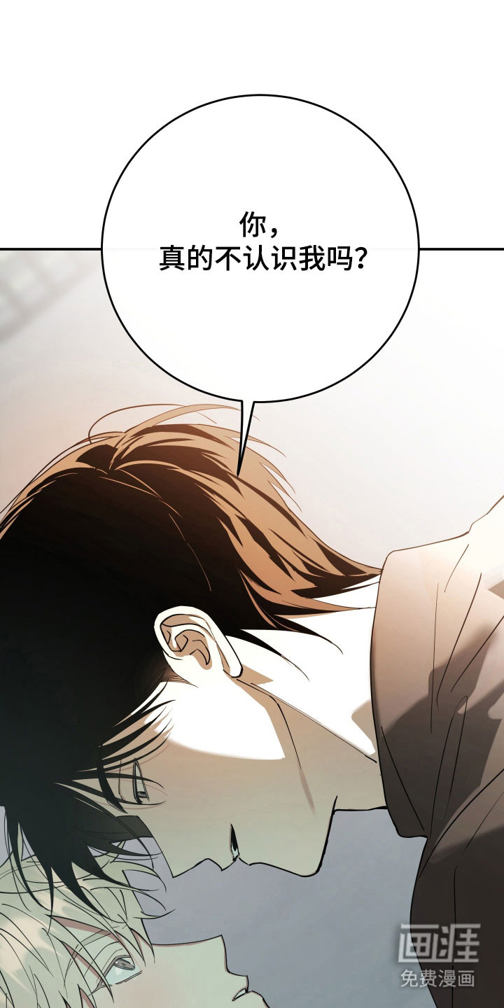 在我掌控中第13话图