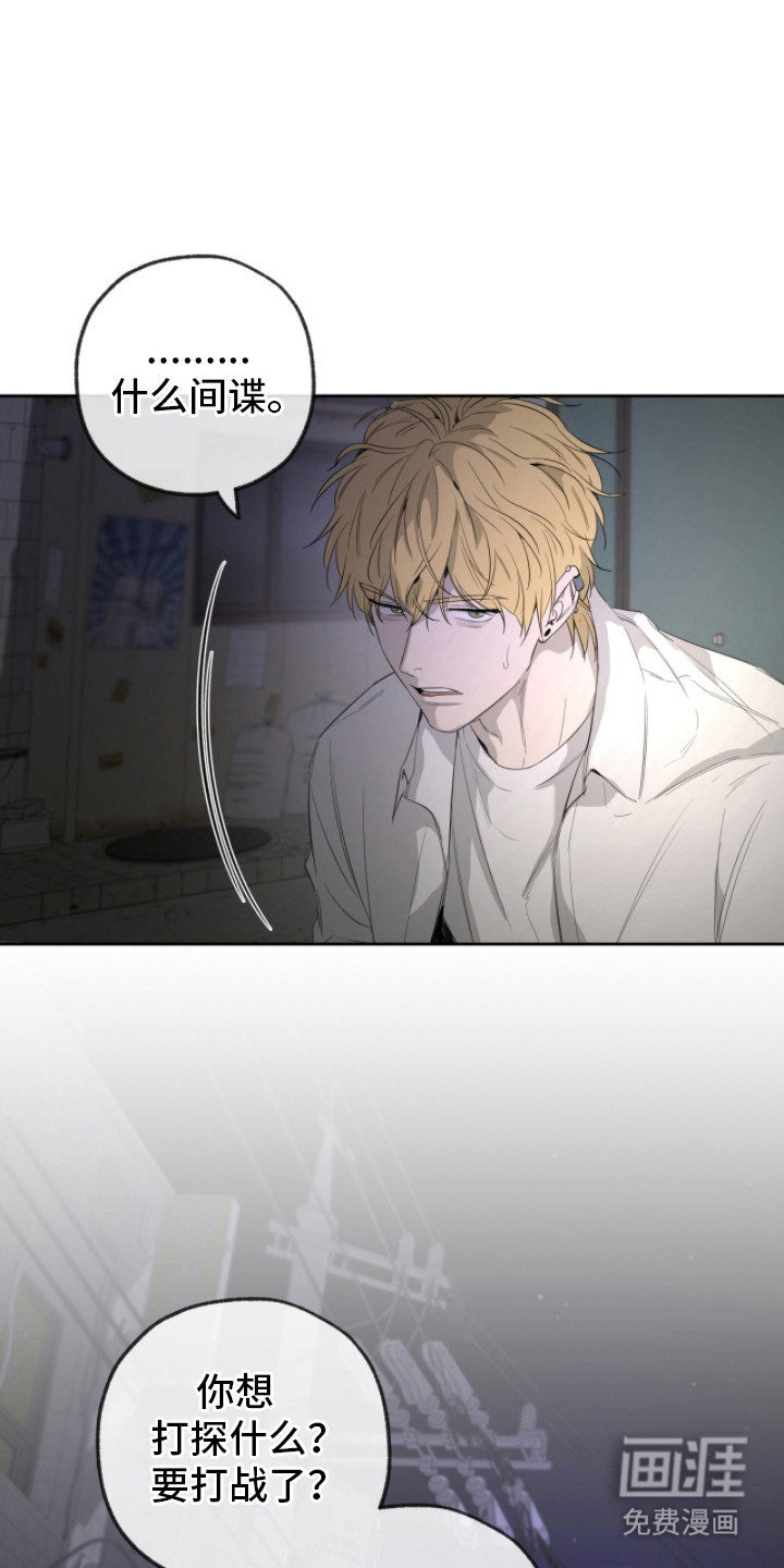 在硝烟中毕业第20话图