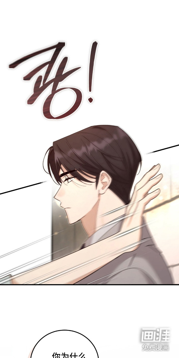 总裁的乌龙恋人第13话图