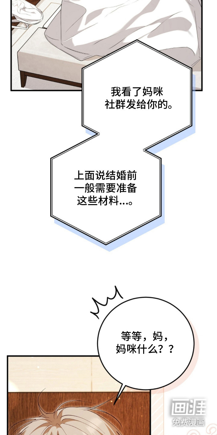 总裁的乌龙恋人第16话图