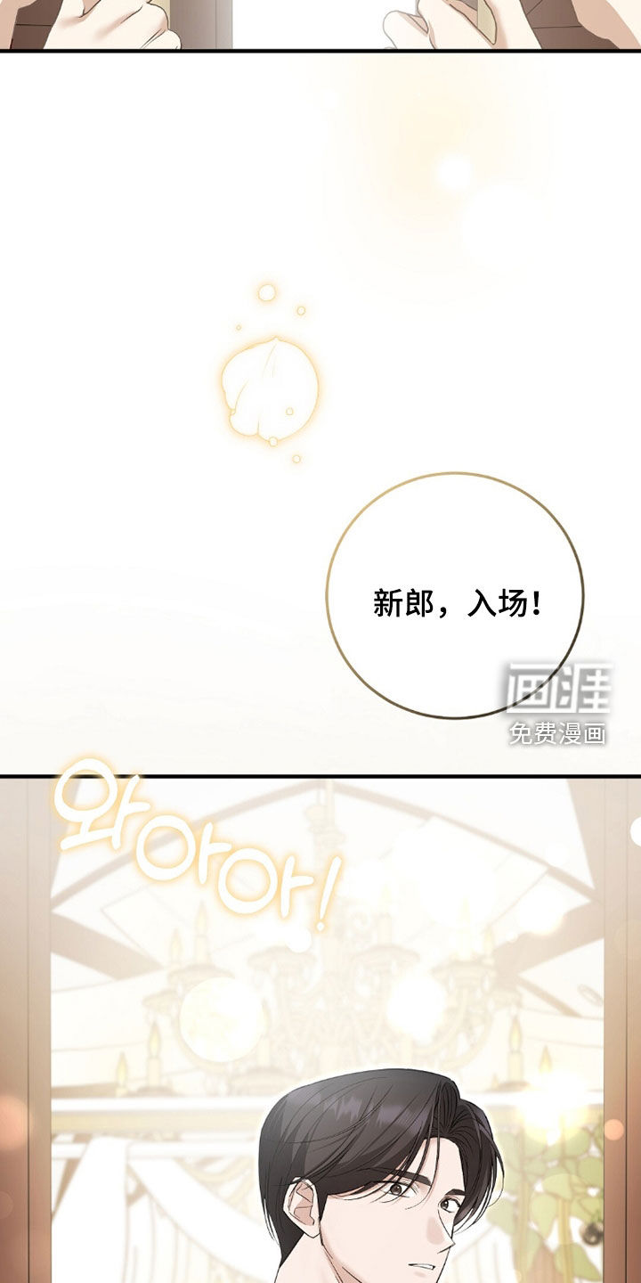 总裁的乌龙恋人第22话图