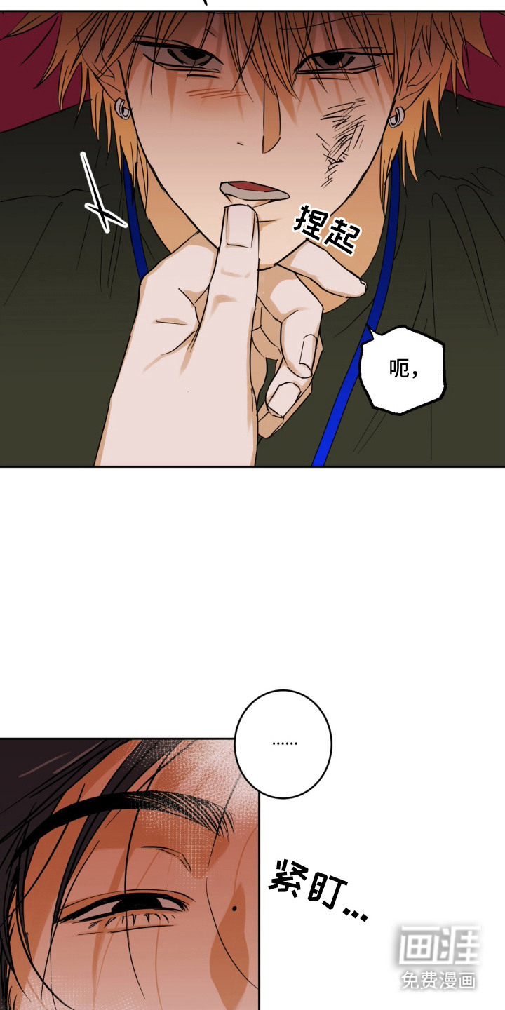 致命选拔漫画-图7