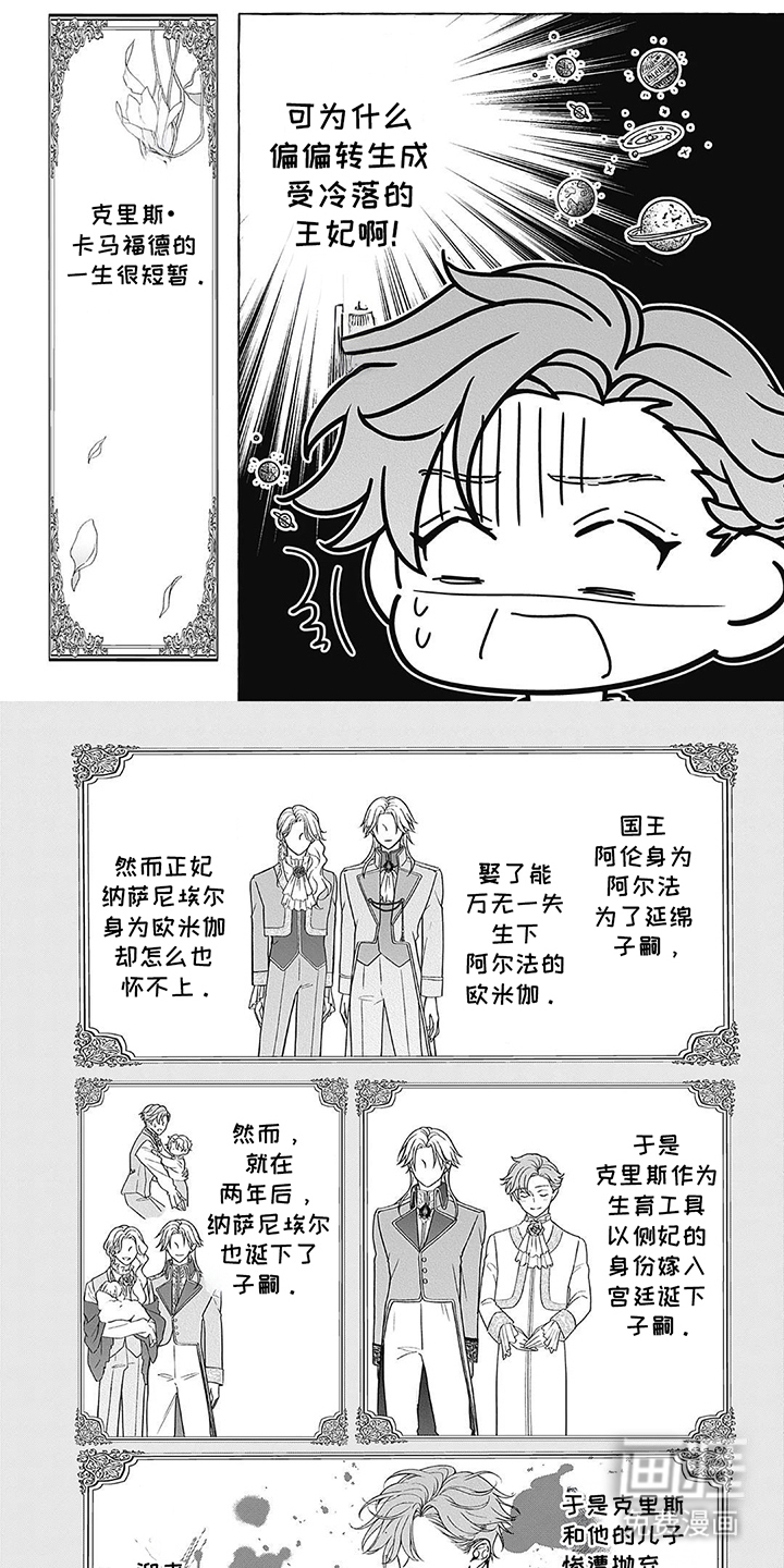 直男王妃的灾难第2话图