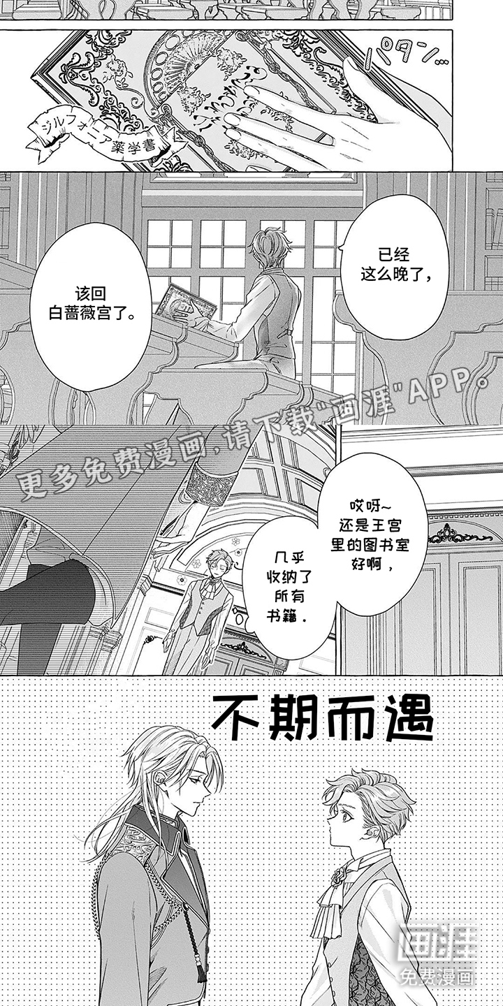 直男王妃的灾难第5话图