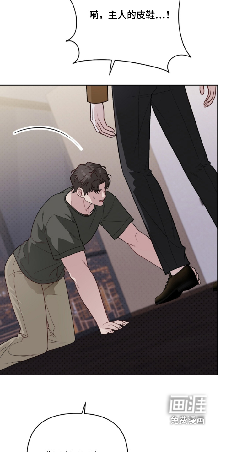 主厨的专属食谱漫画-图12