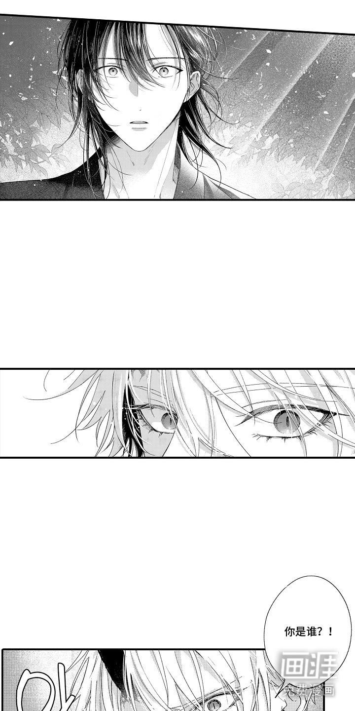 在樱花凋落前漫画-图14