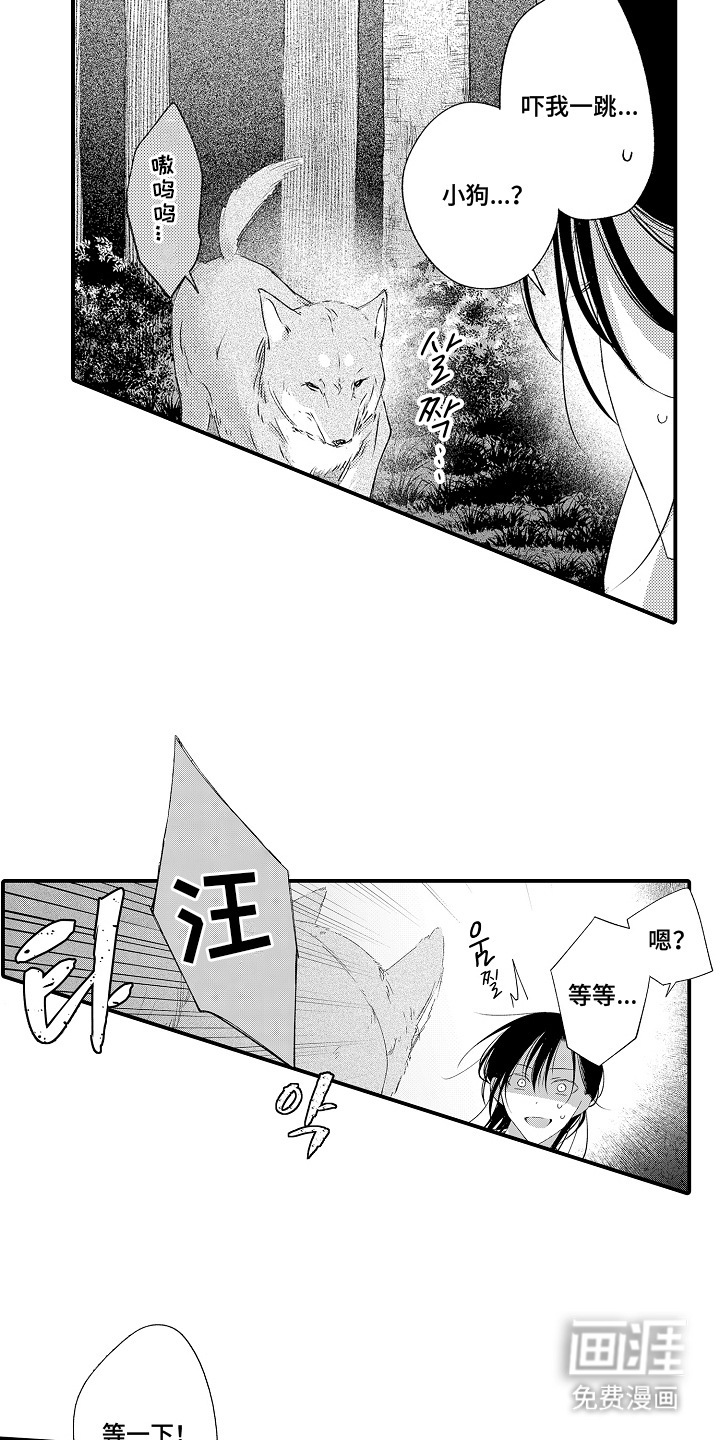 在樱花凋落前漫画-图13