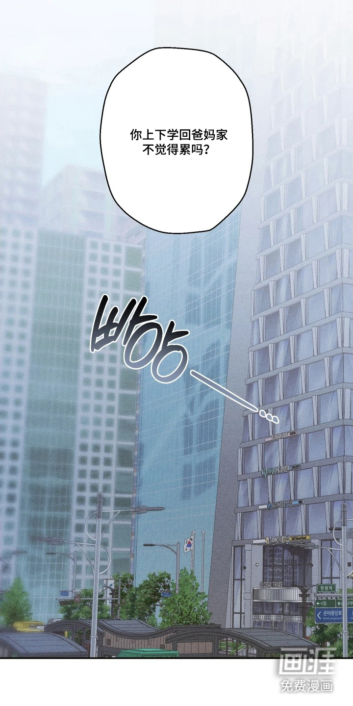 重逢必修课第5话图