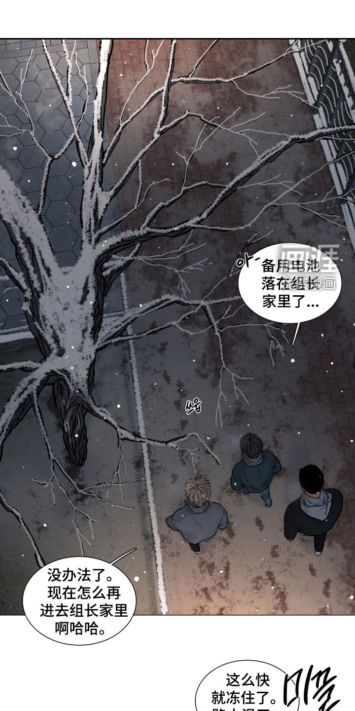 罪案编码漫画-图0