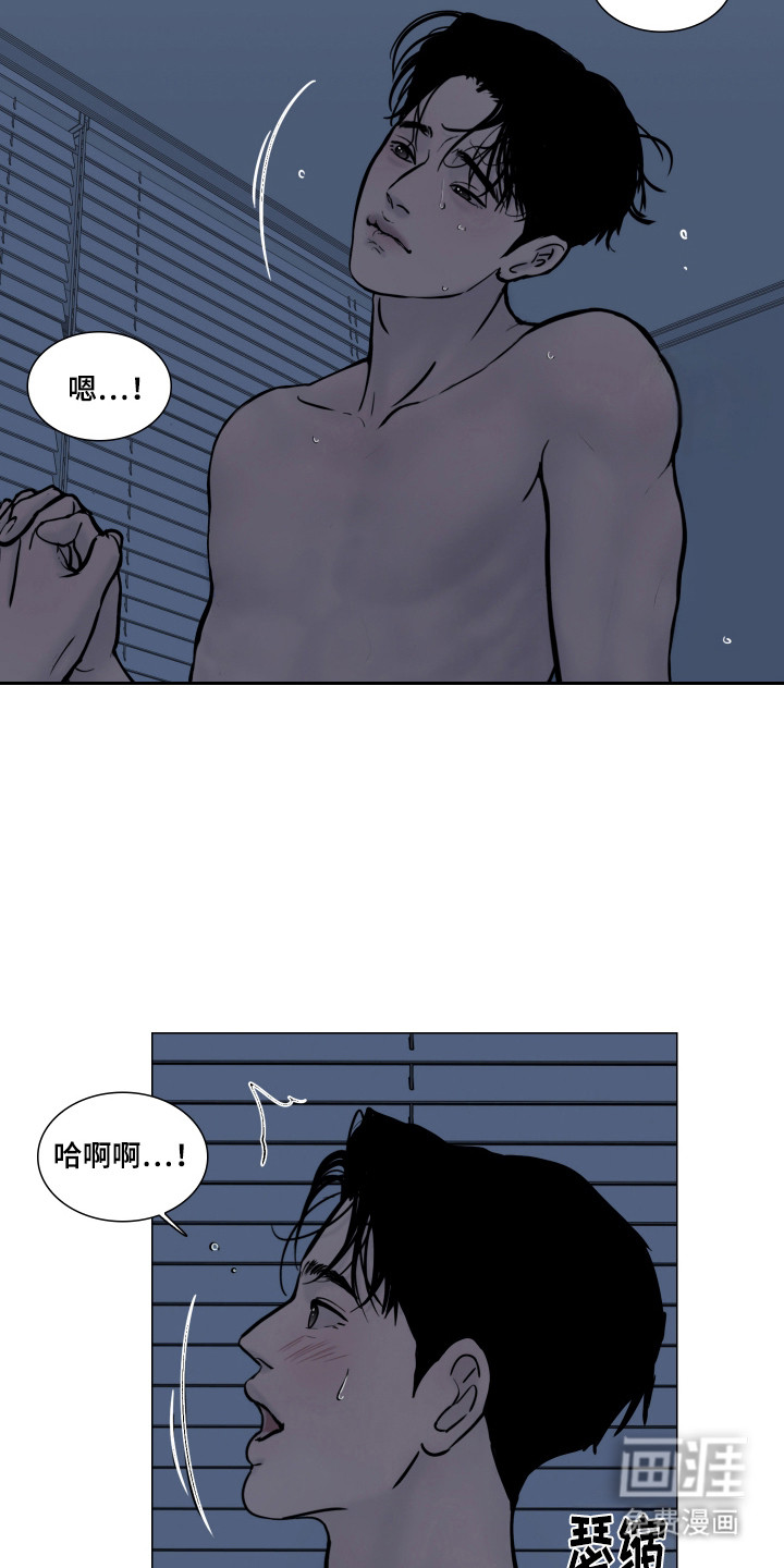 罪案编码漫画-图15