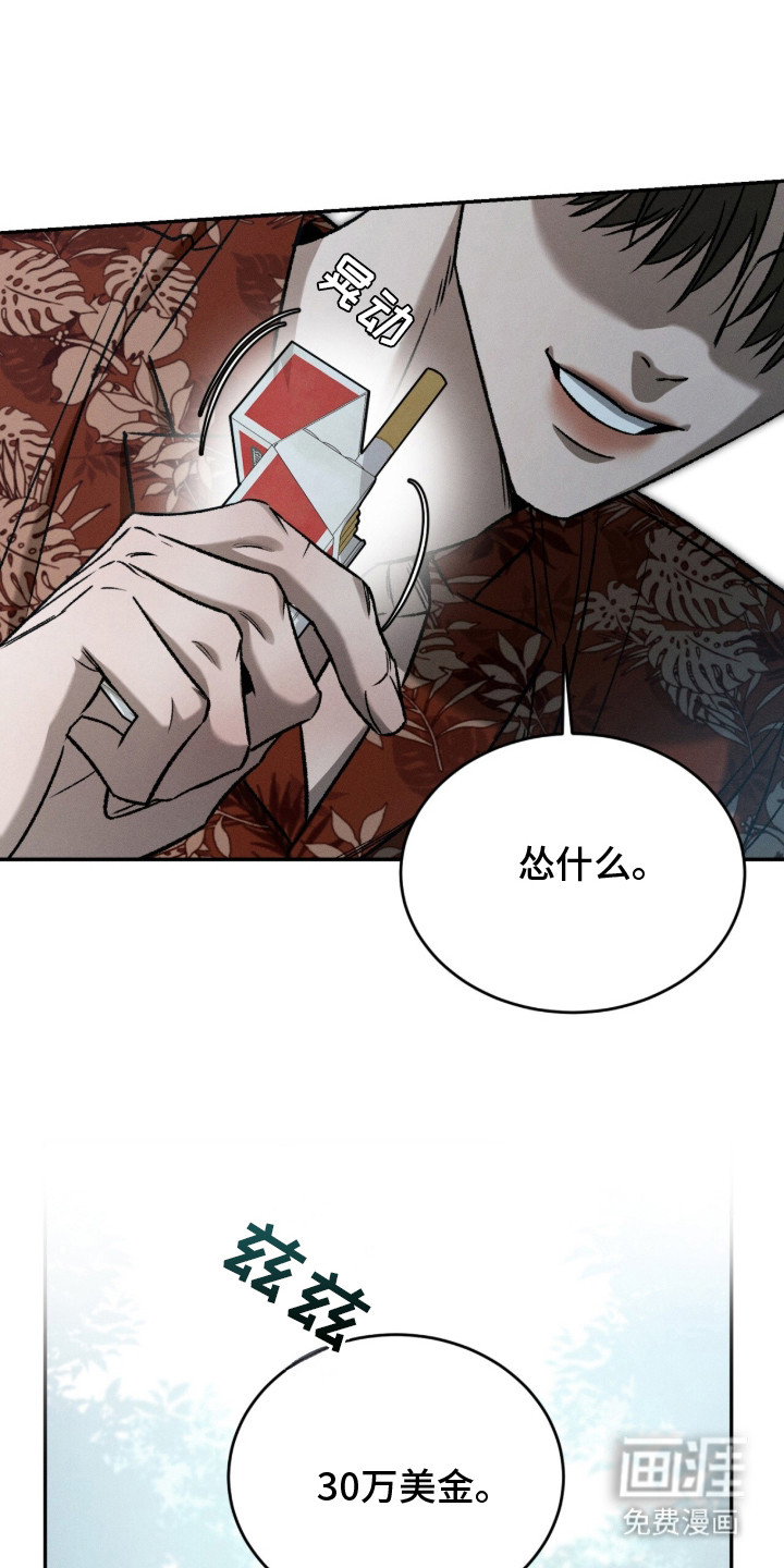 致命伪装漫画-图0