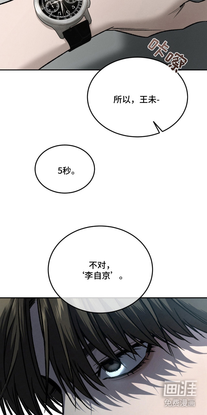 致命伪装漫画-图13