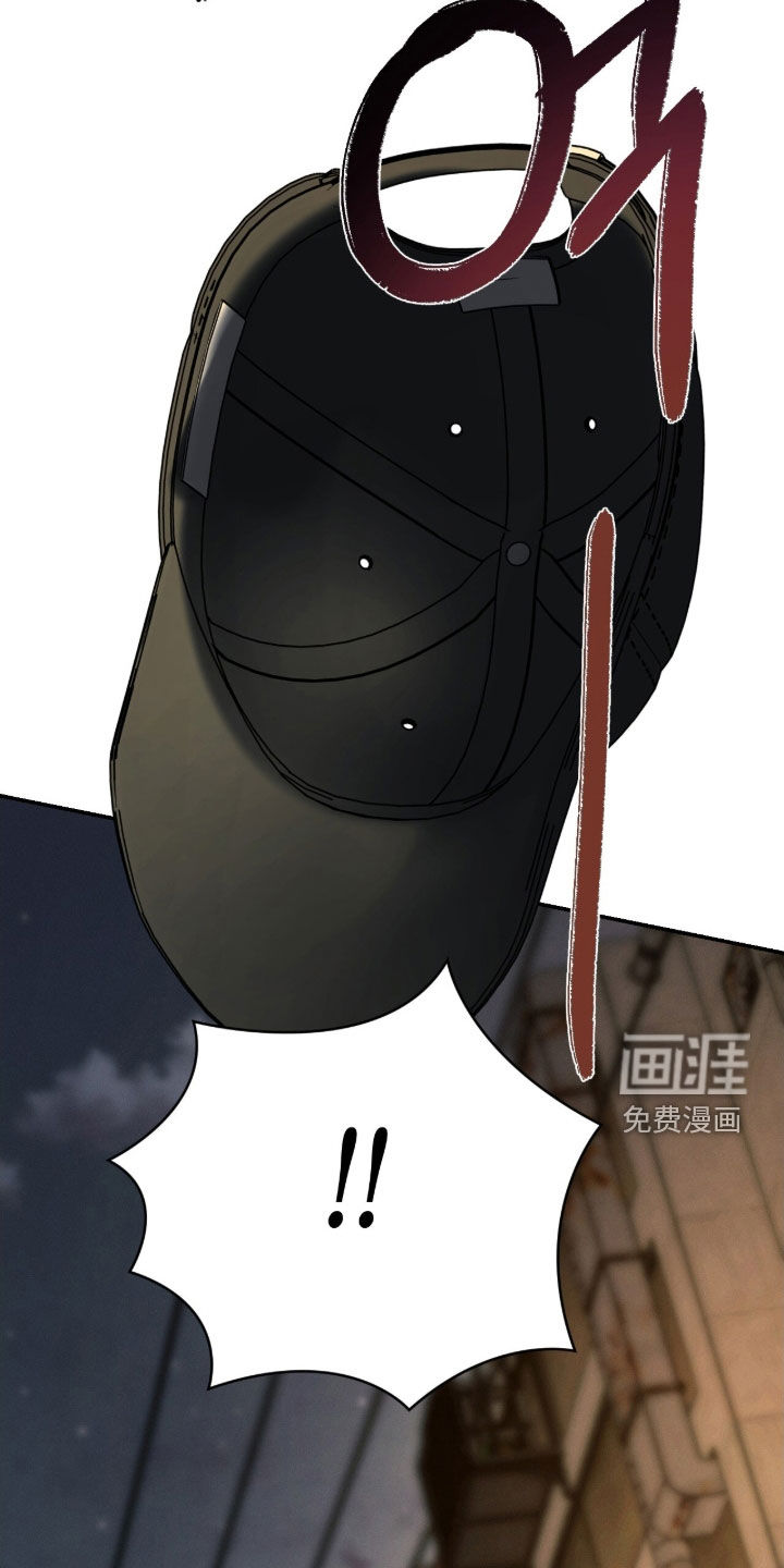 致命伪装漫画-图21