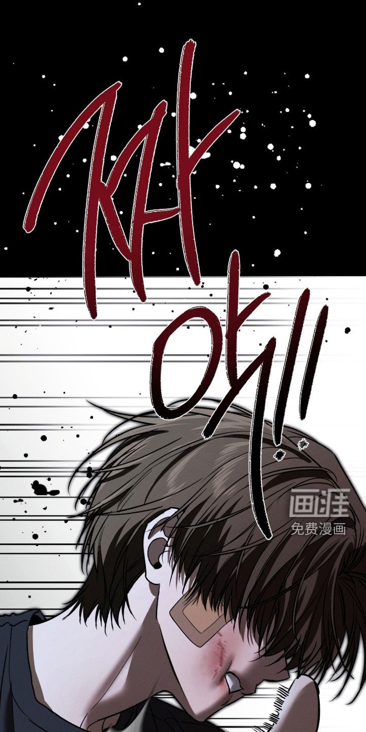 致命伪装漫画-图39