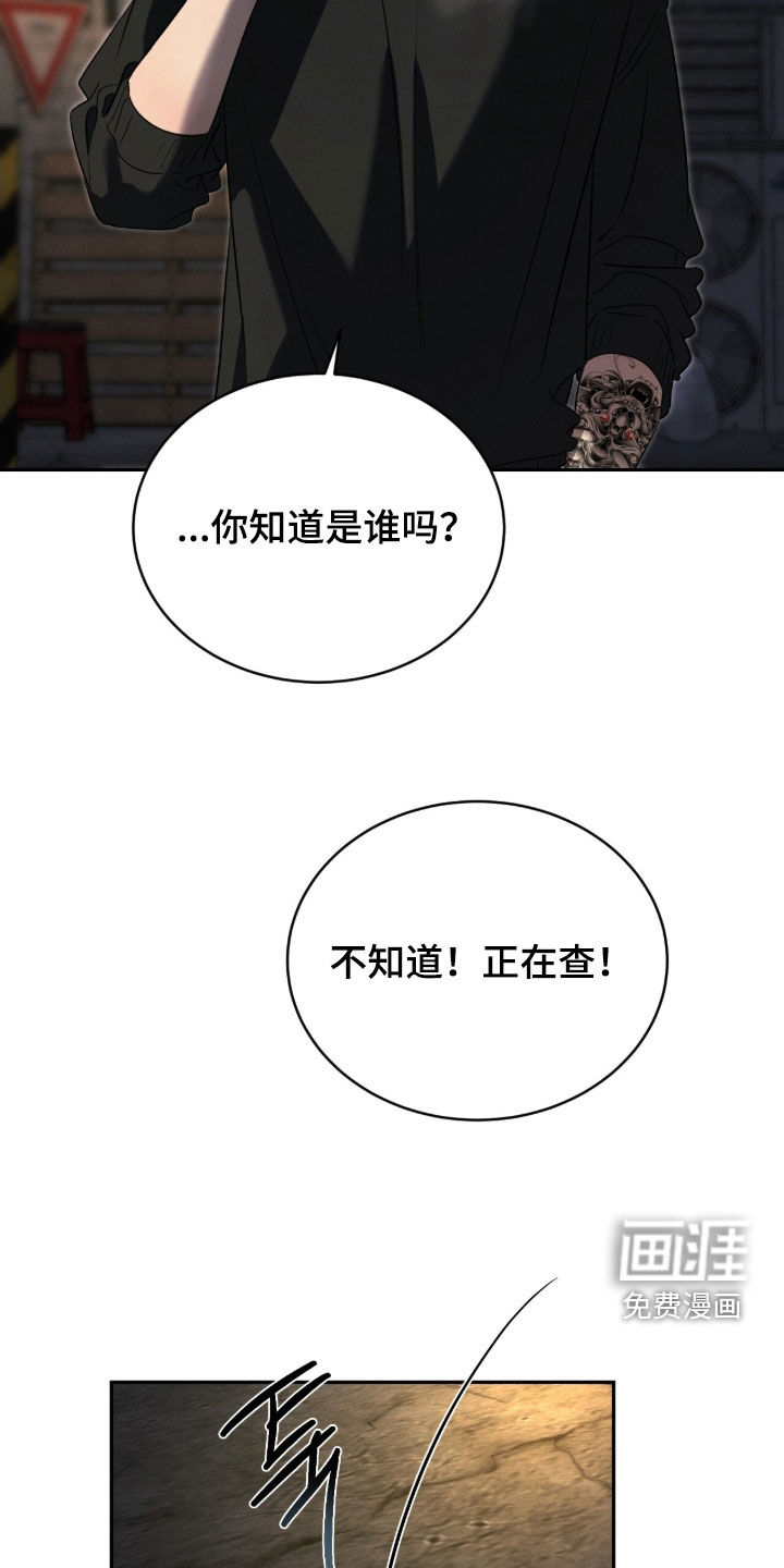 致命伪装漫画-图28