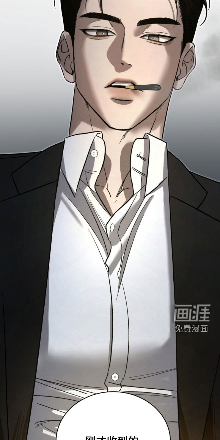 致命伪装漫画-图30