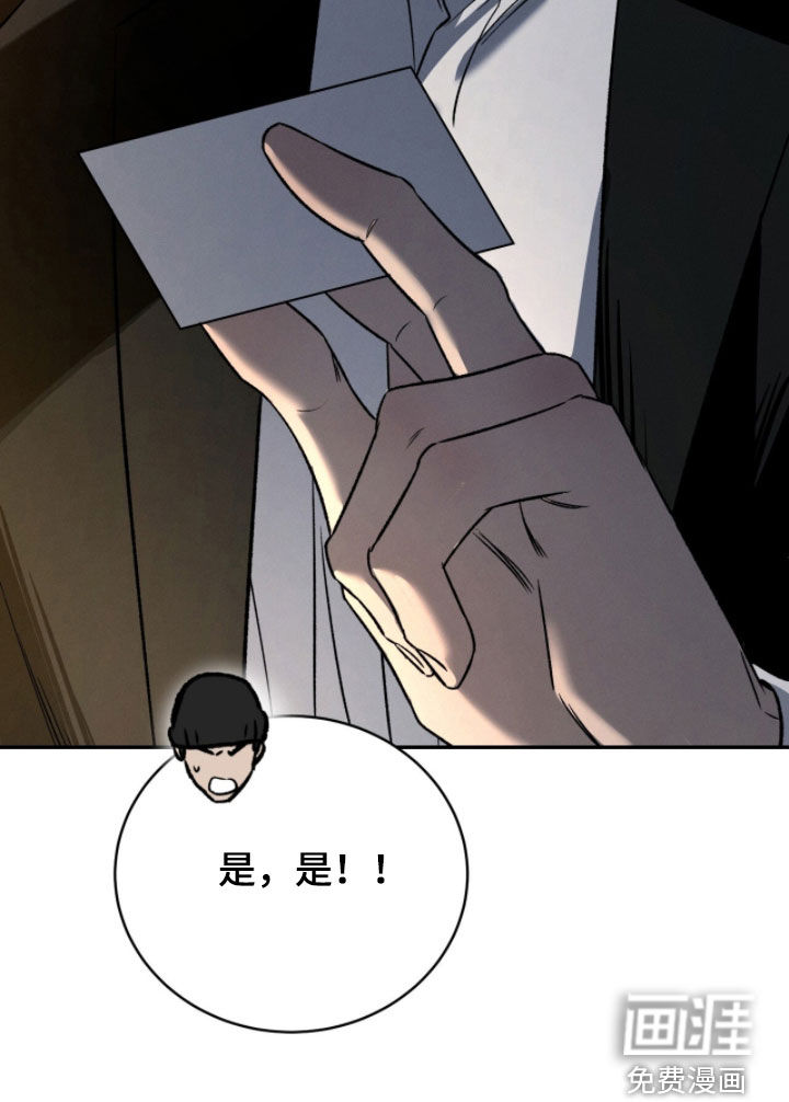 致命伪装漫画-图36