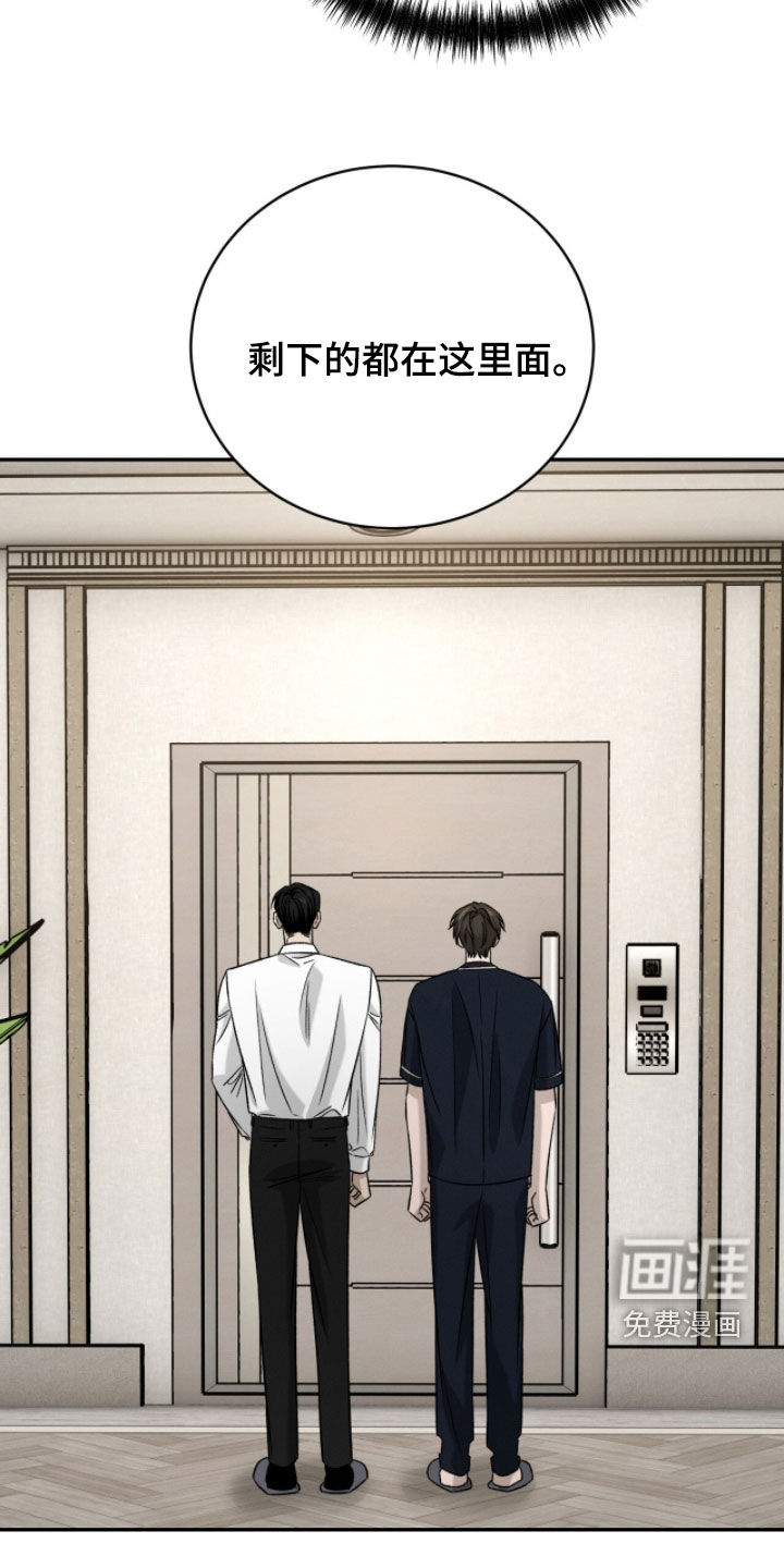 致命伪装漫画-图12