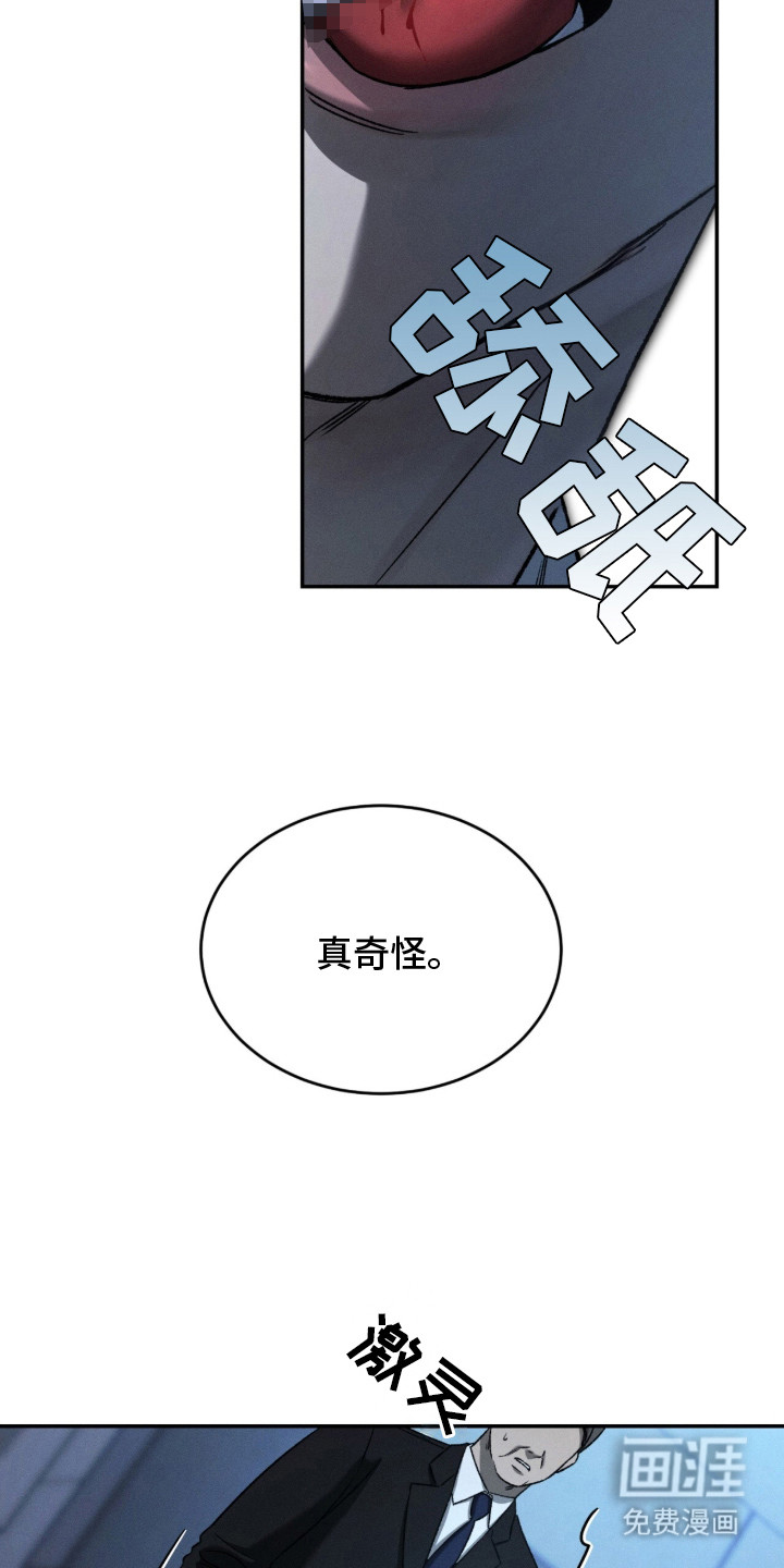 致命伪装漫画-图11