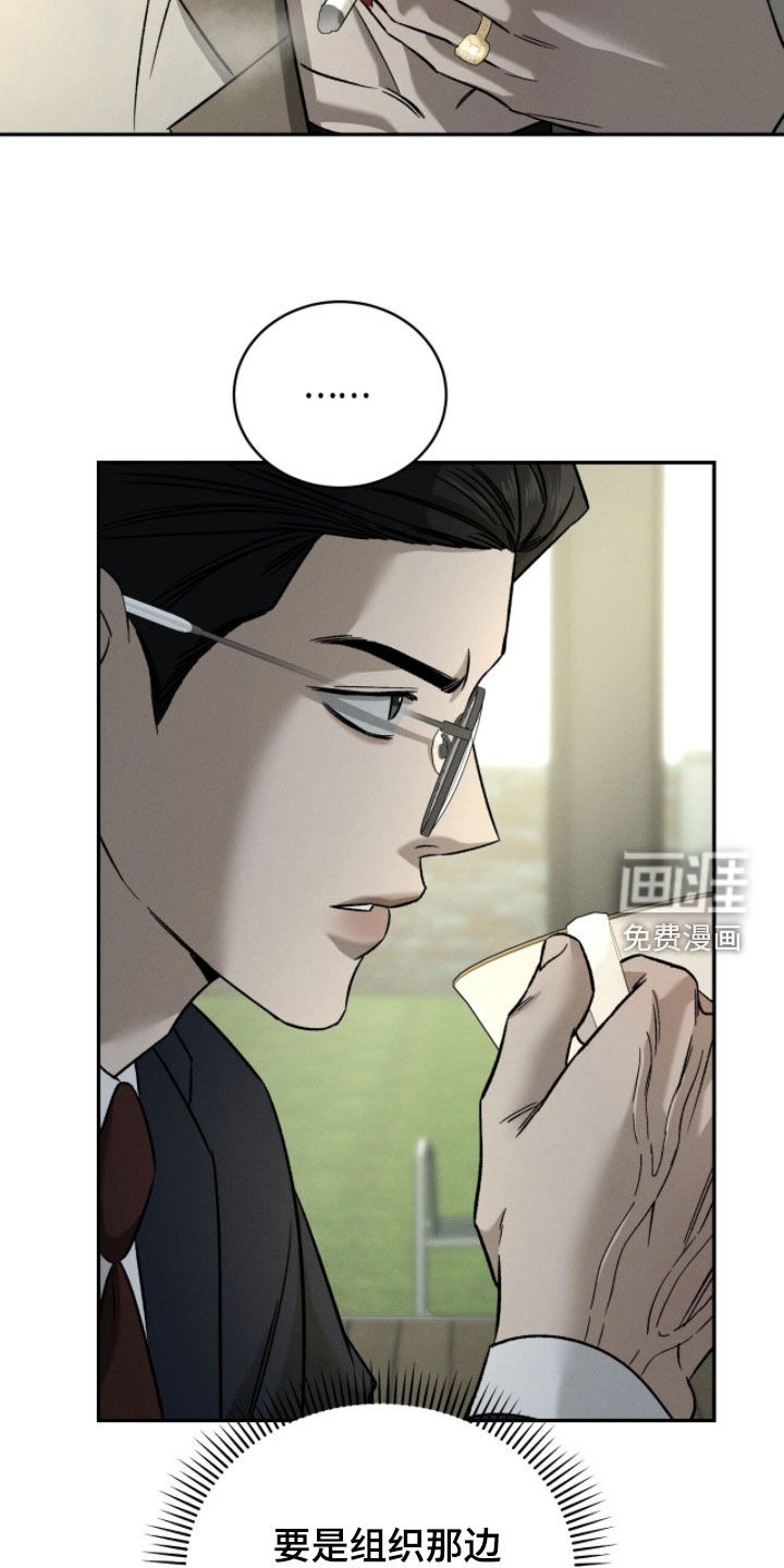 致命伪装漫画-图33