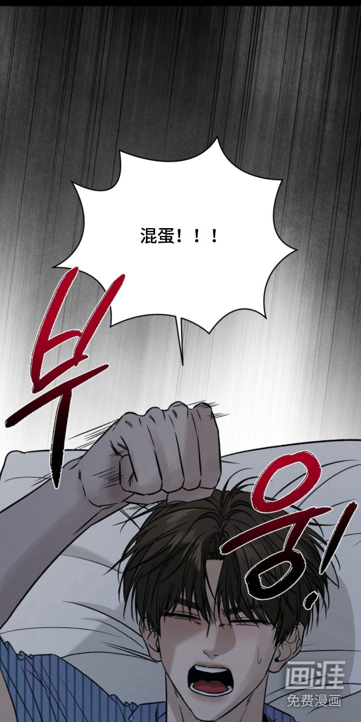 致命伪装漫画-图31