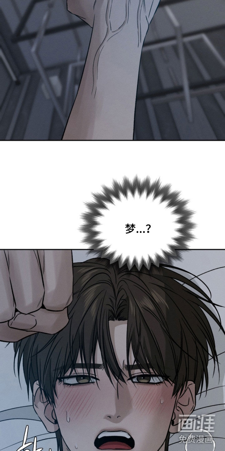 致命伪装漫画-图33