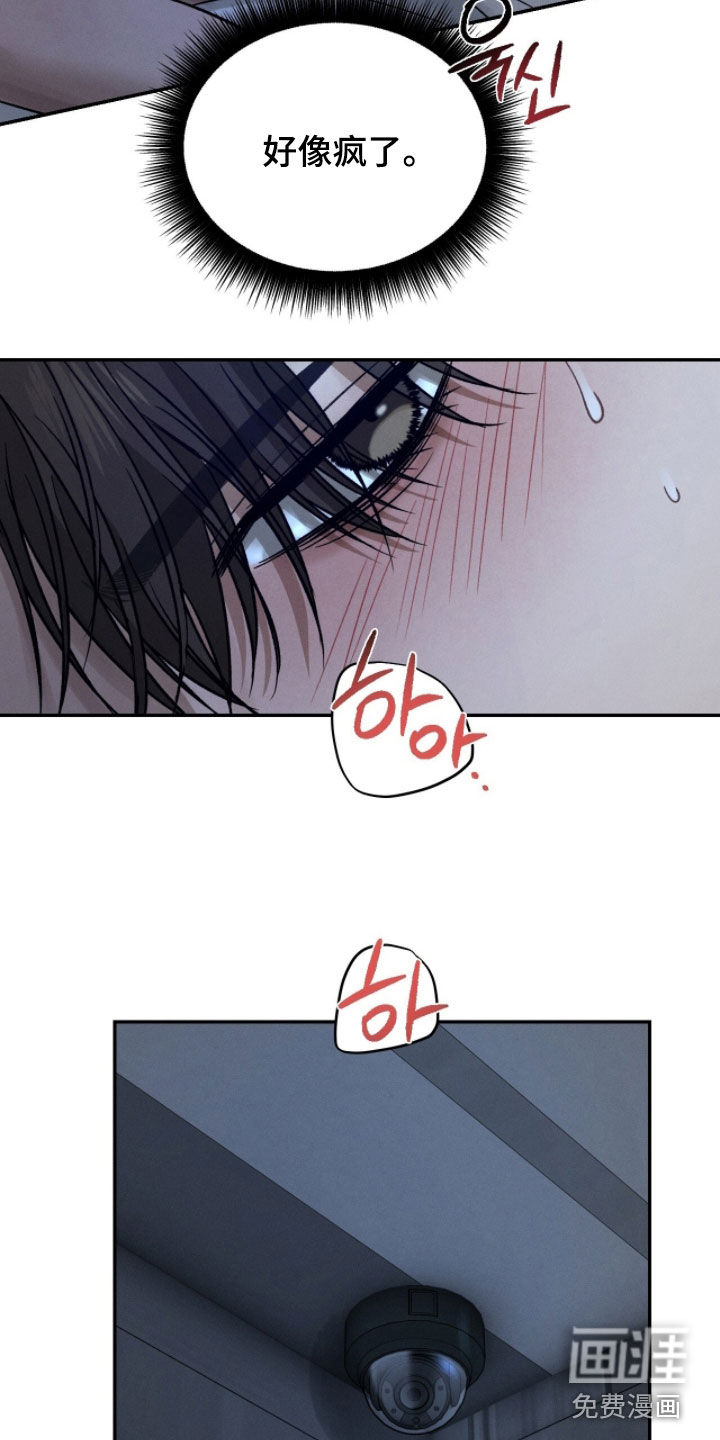 致命伪装漫画-图35