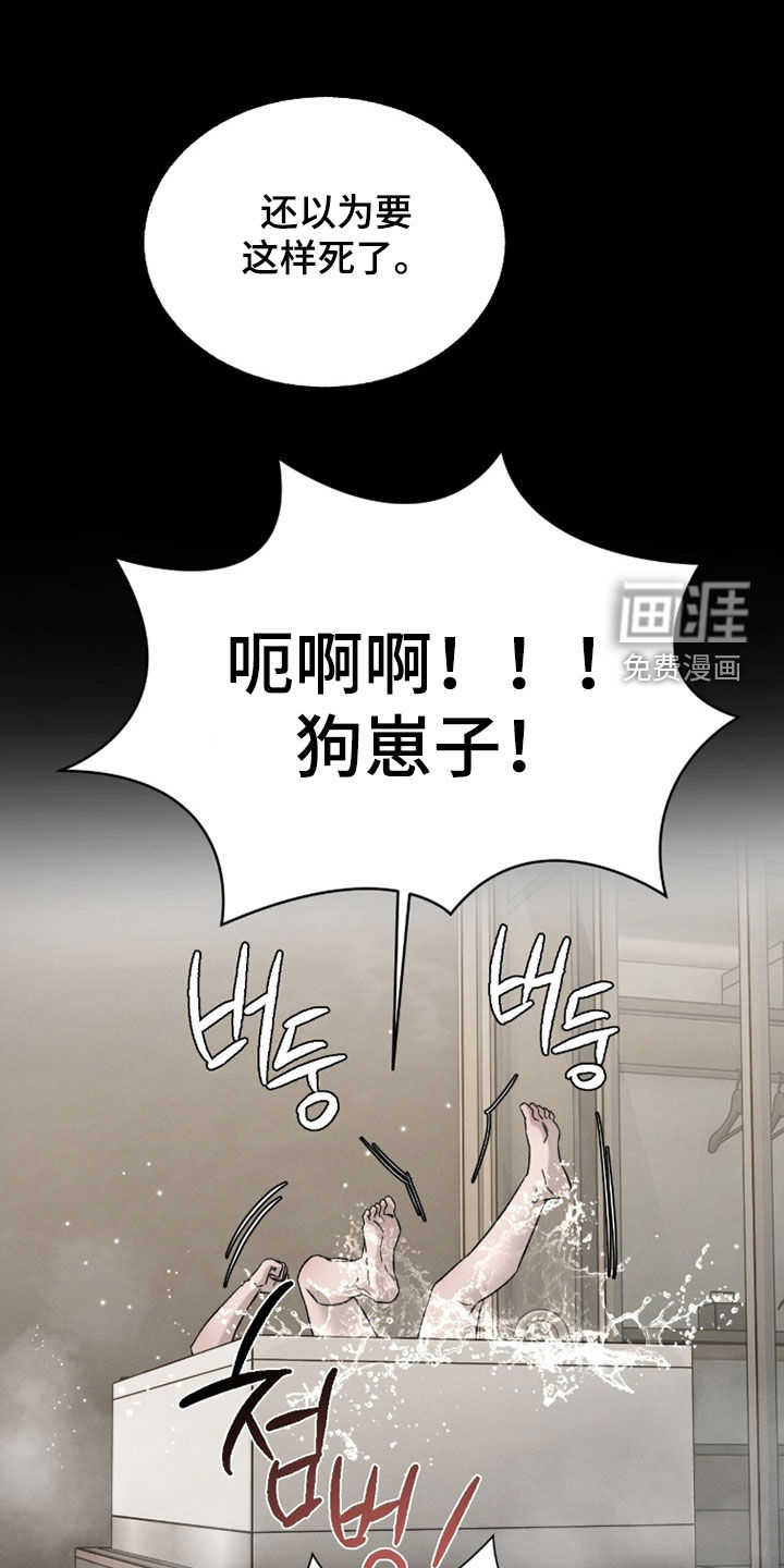 致命伪装漫画-图4