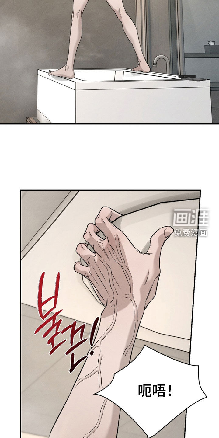 致命伪装漫画-图29