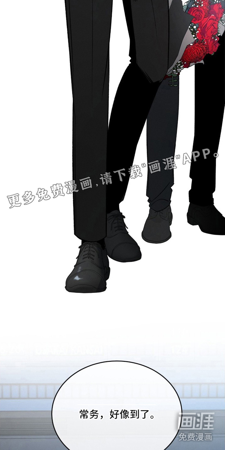 致命伪装漫画-图2