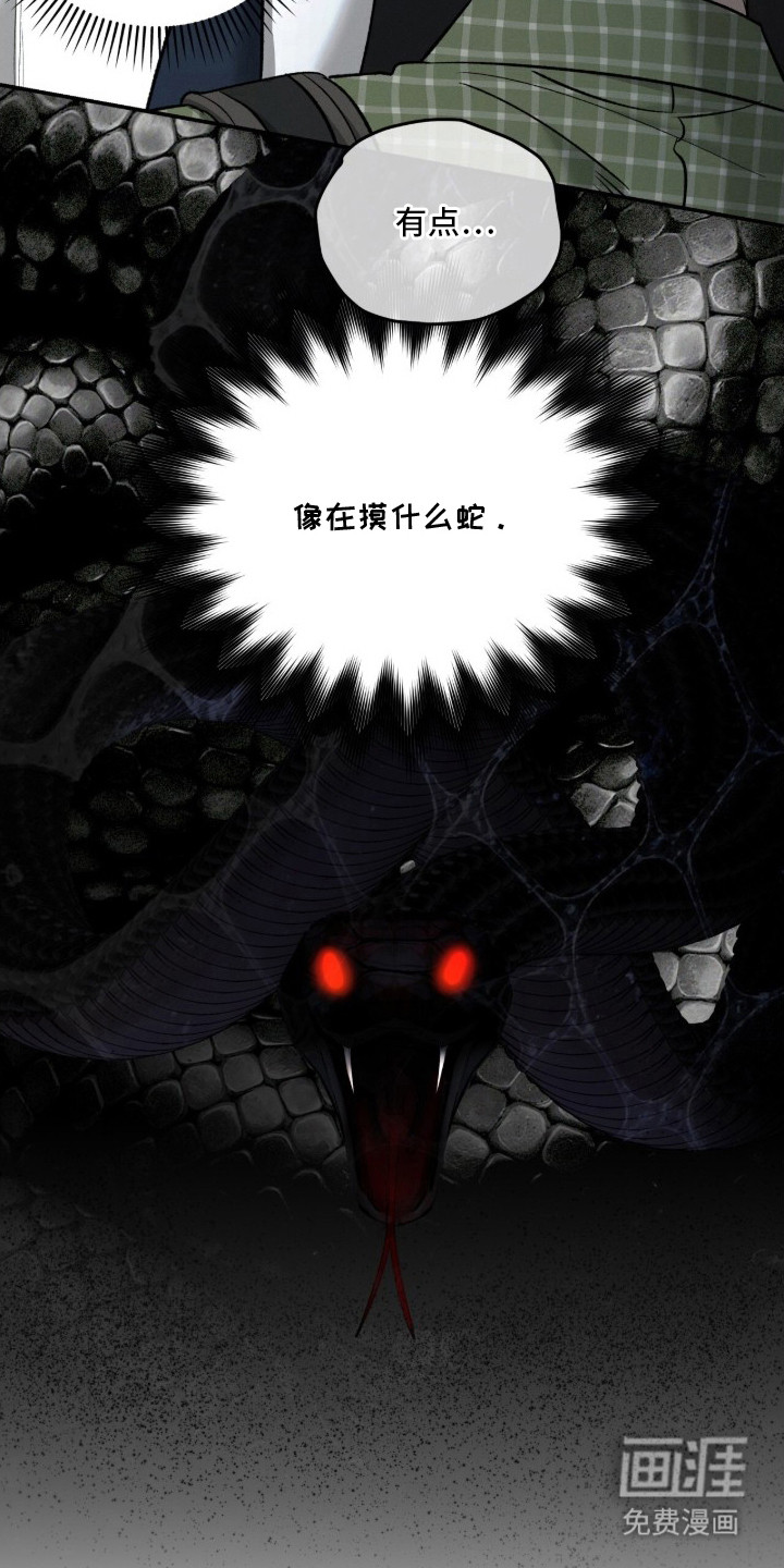 致命伪装漫画-图17