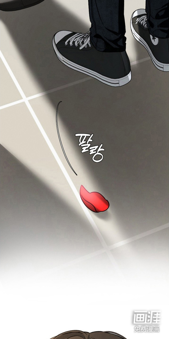 致命伪装漫画-图22