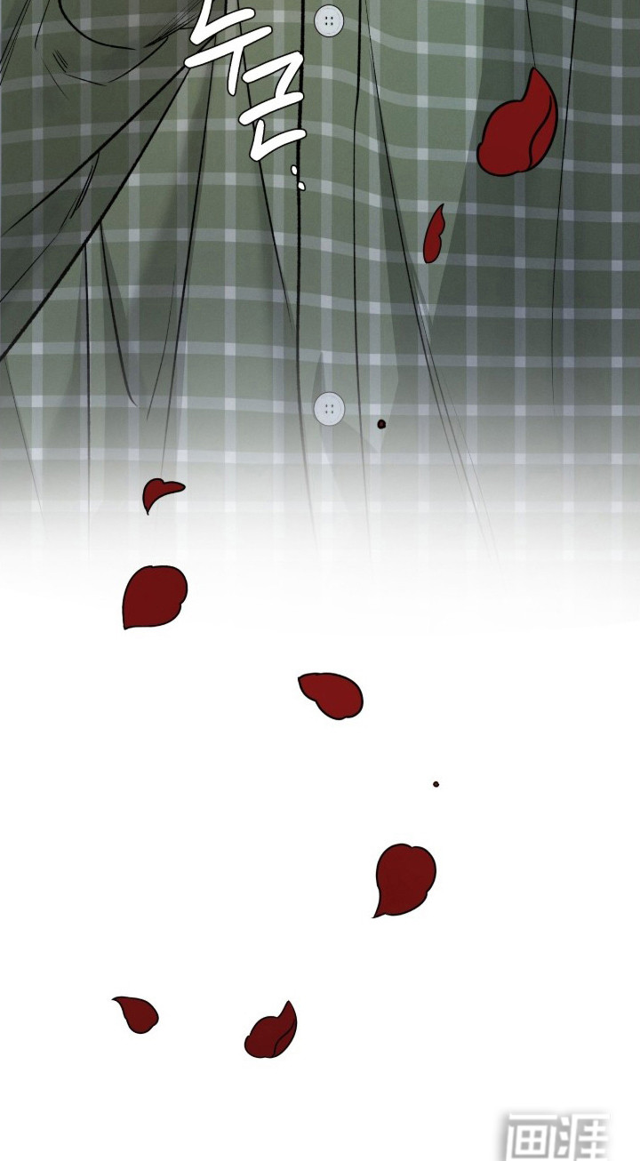 致命伪装漫画-图24