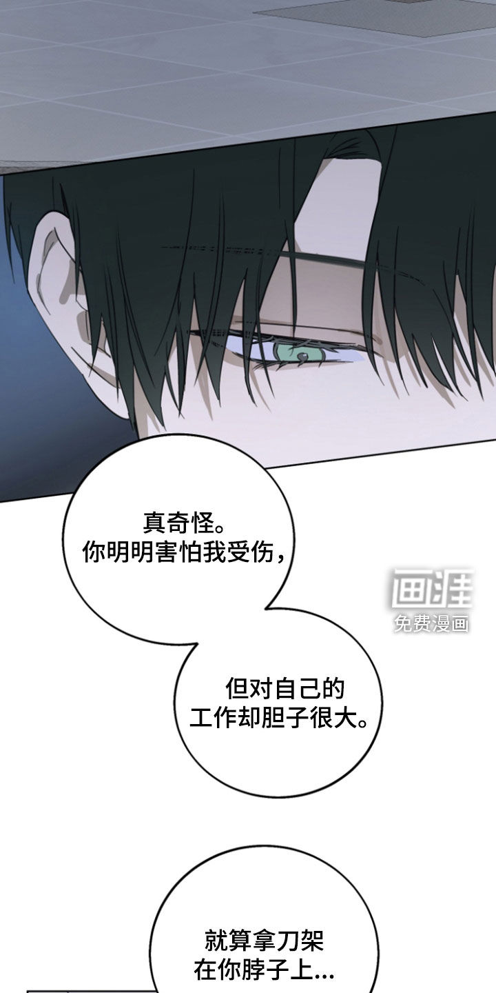 灼痕向导漫画-图22