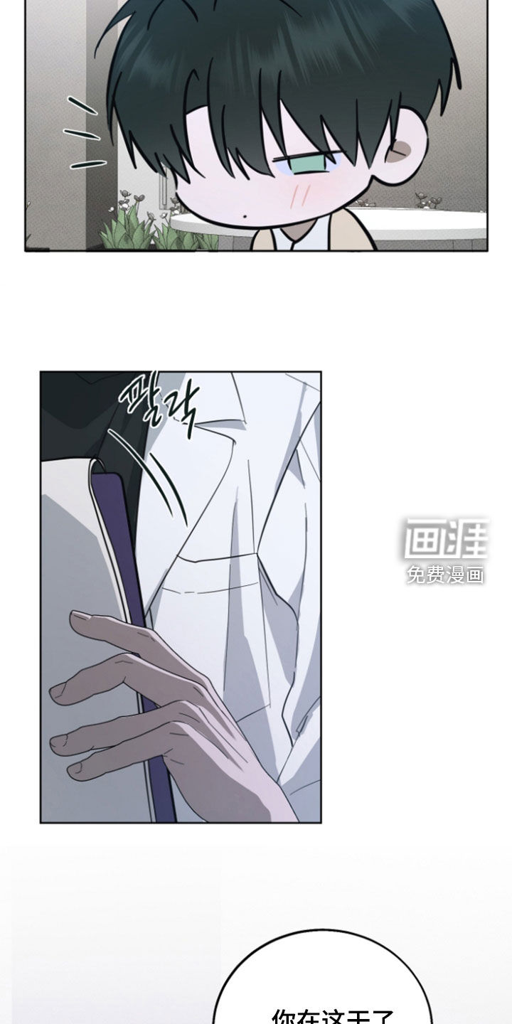 灼痕向导漫画-图7