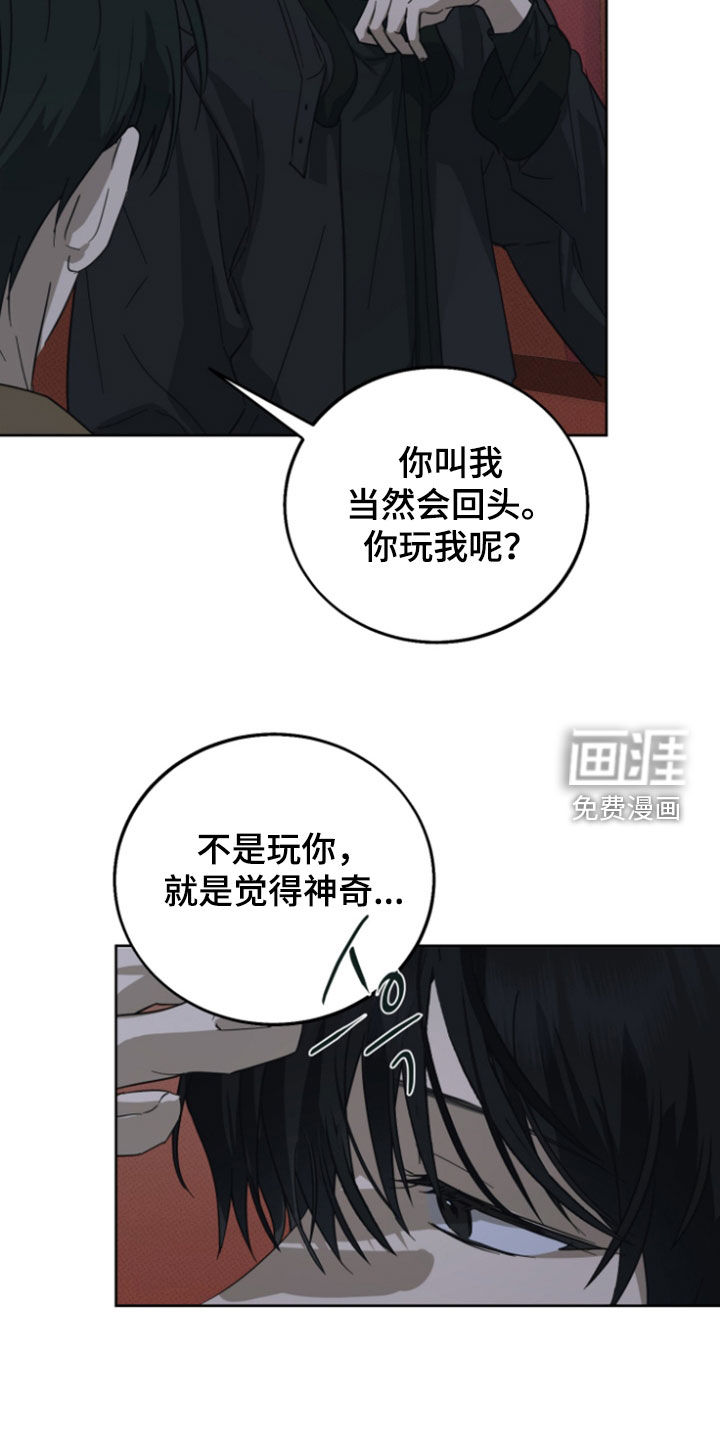 灼痕向导漫画-图16