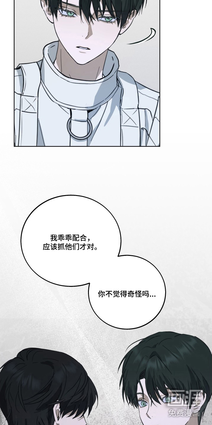 灼痕向导漫画-图9