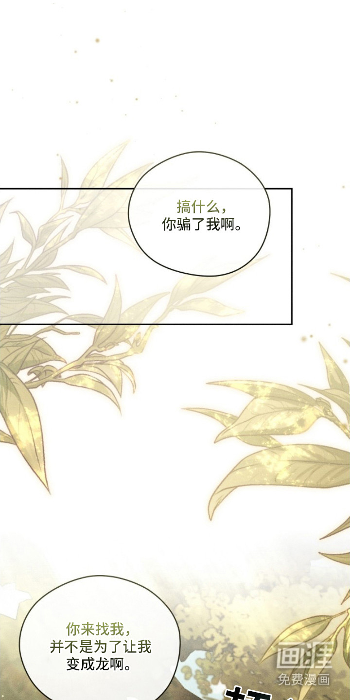 最后的龙雨第6话图