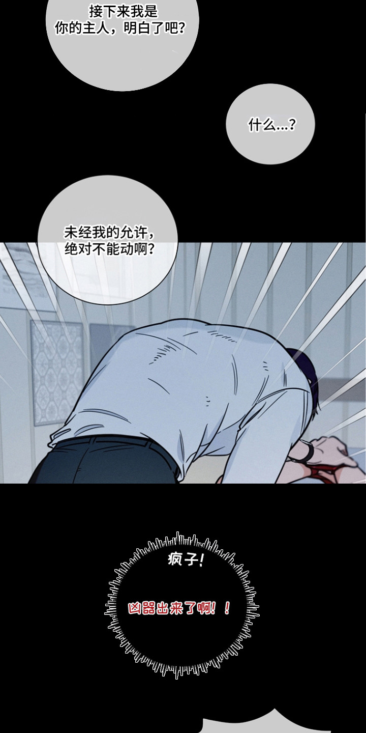主播求放过漫画-图5