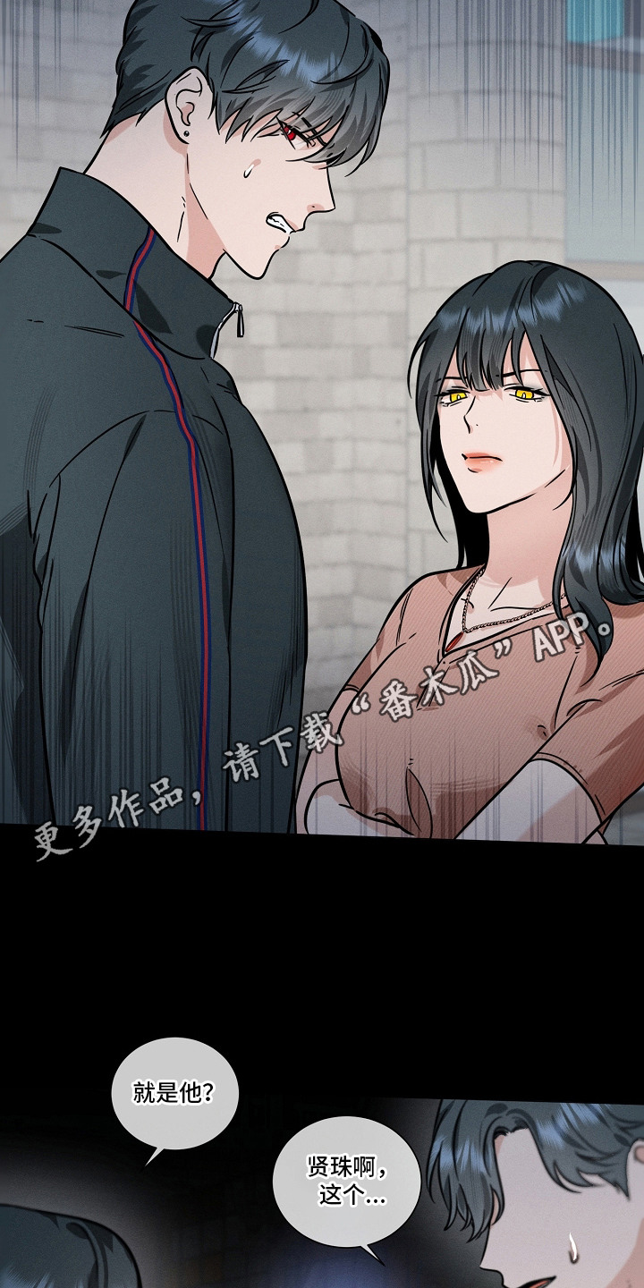 主播求放过漫画-图10