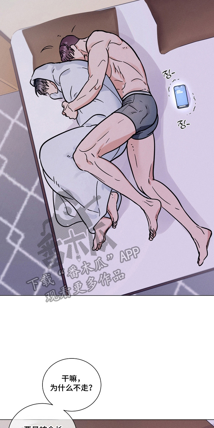 主播求放过漫画-图1