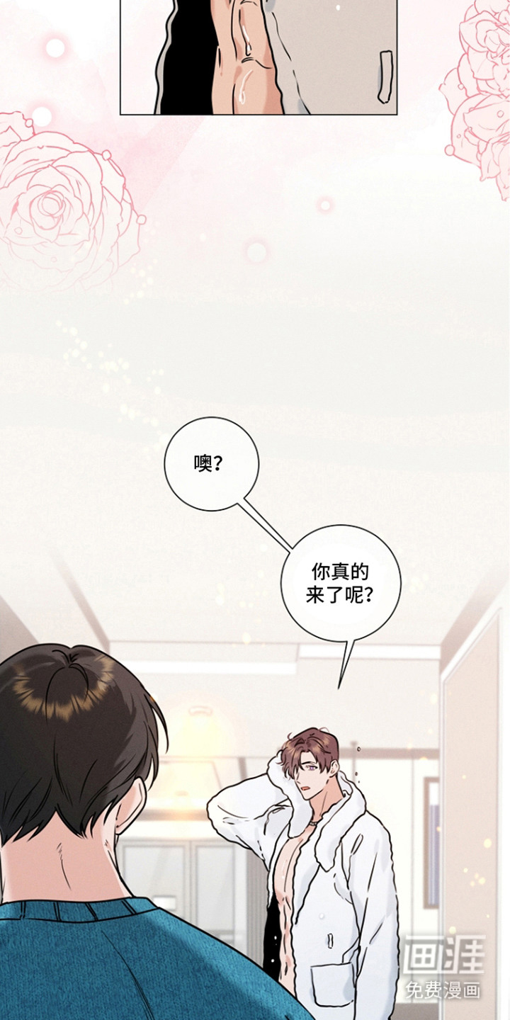 主播求放过漫画-图2