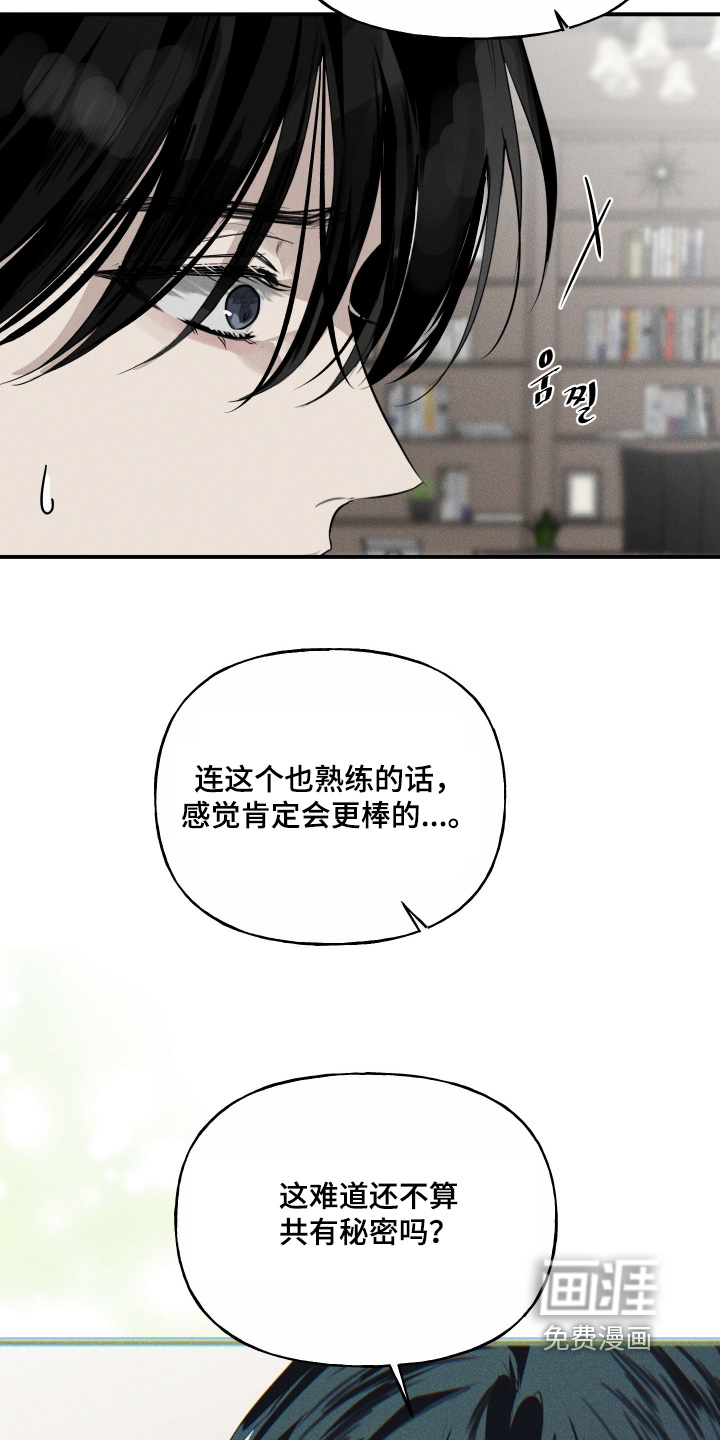 坠落的特技漫画-图13