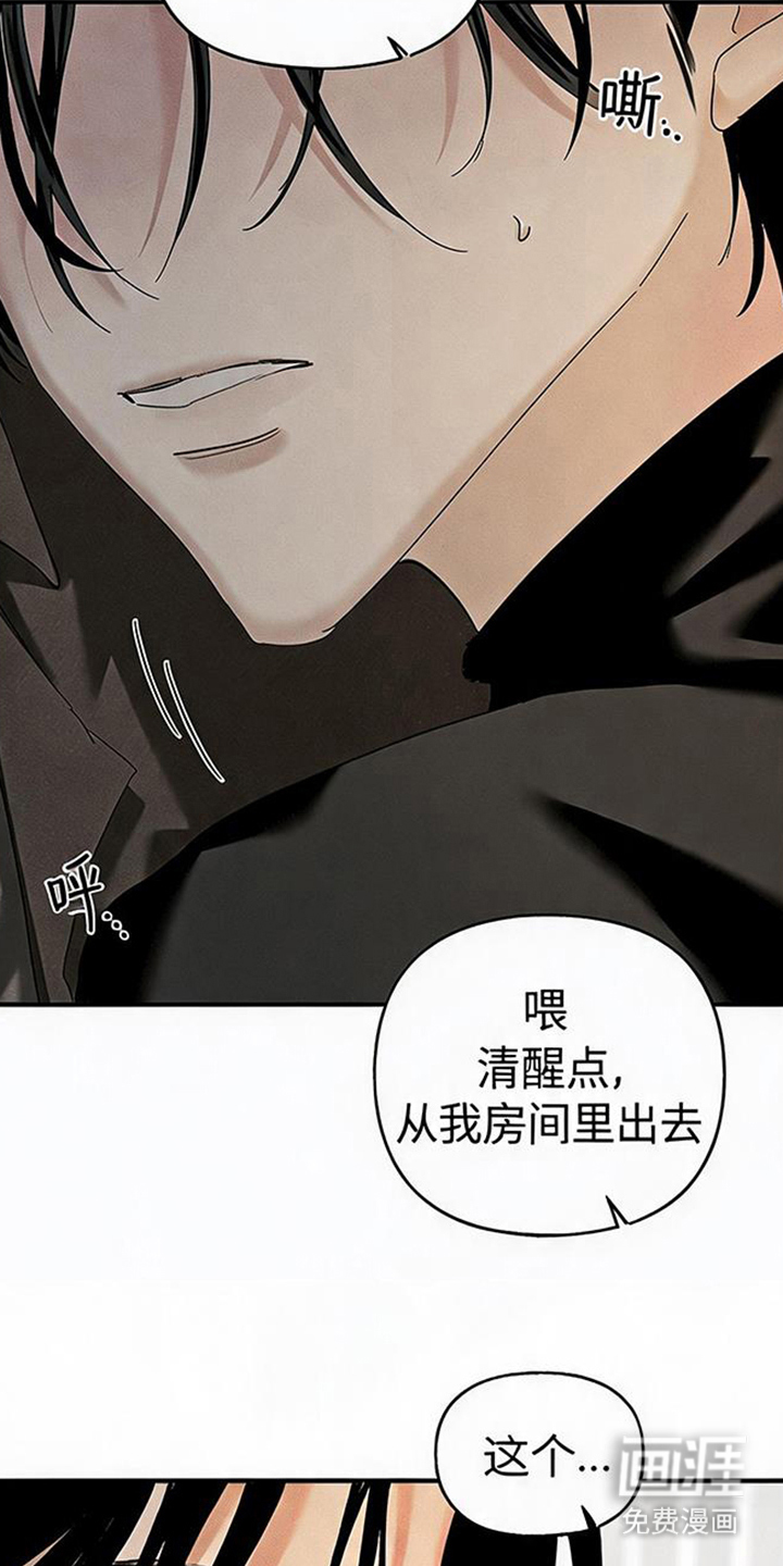 坠落的特技漫画-图23