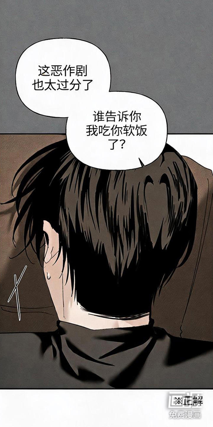 坠落的特技漫画-图3