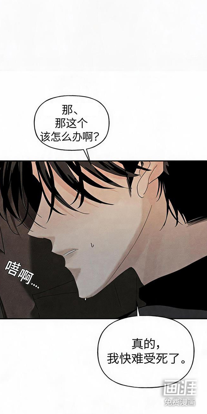 坠落的特技漫画-图4
