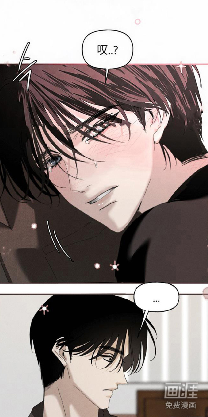 坠落的特技漫画-图5